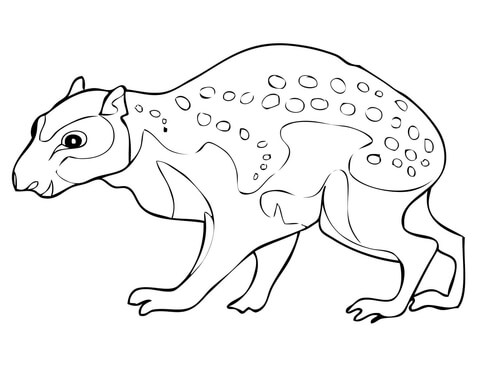 Spotted Lowland Paca Coloring Page